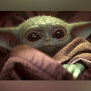 Meet your Posher, Gregg